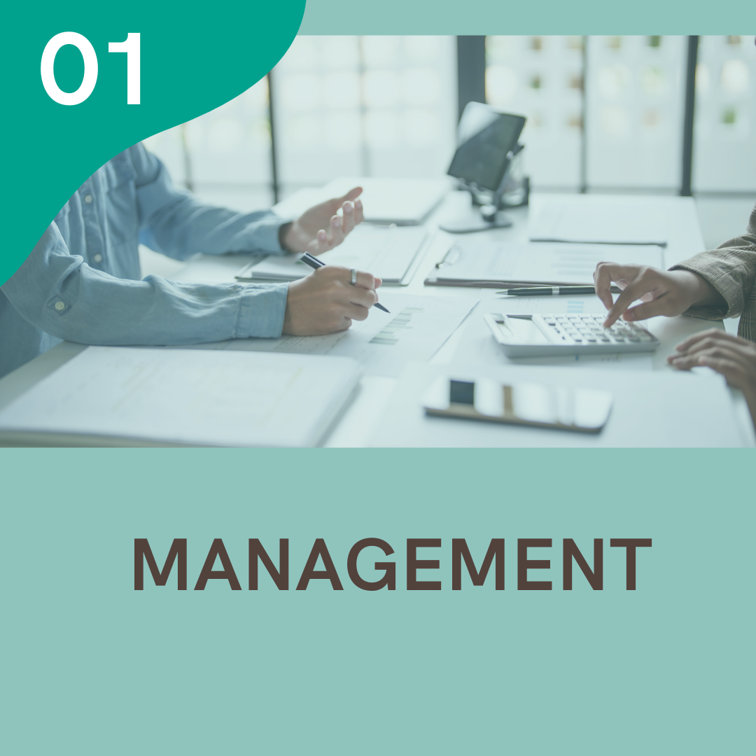 01 - Management