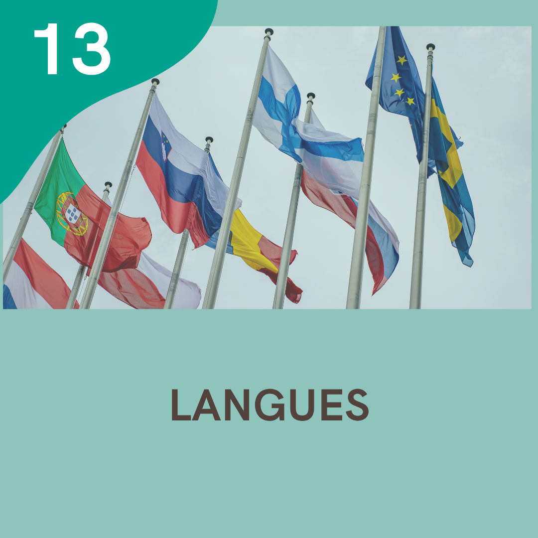 13 - Langues