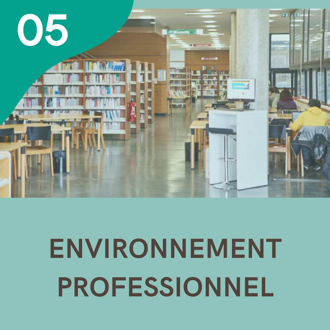 05 - Environnement professionnel