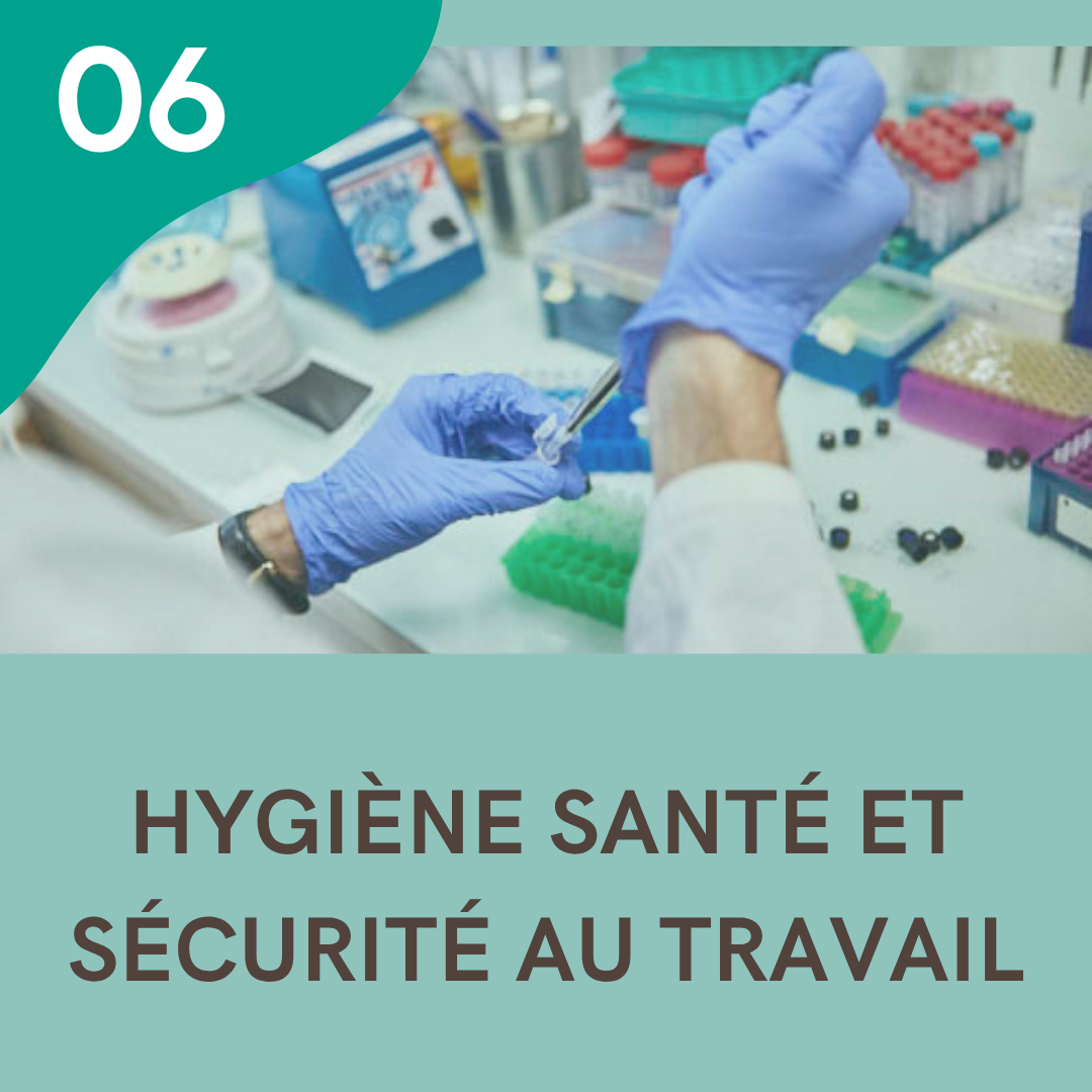 06 - Hygiène Santé et Sécurité au Travail